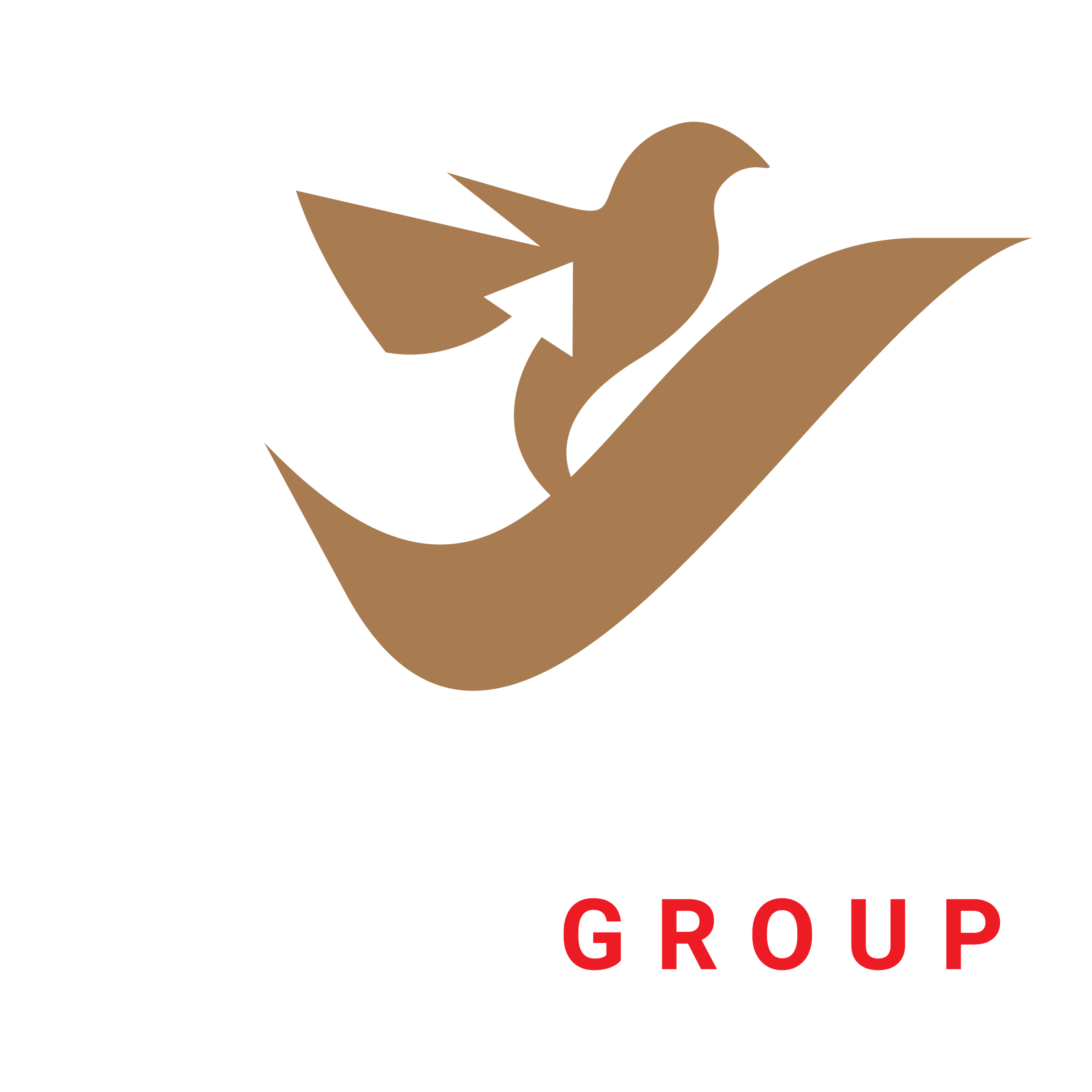 www.sommaroygroup.com